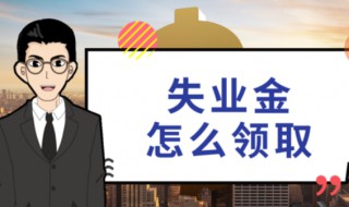领取失业保险的条件（领取失业保险的条件和期限是什么）