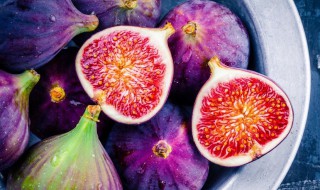 无花果的花在哪里 无花果的花在哪里说明文
