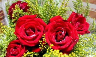 5朵玫瑰花代表什么意思 165朵玫瑰花代表什么意思