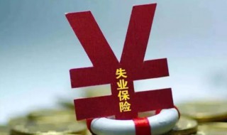 失业金是领保险金还是补助金（失业是领失业保险金还是失业补助金）