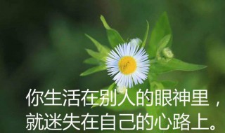 感悟人生句句精美（感悟人生的句子 经典 简短）