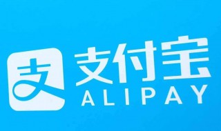 支付宝怎么改支付密码（支付宝怎么改支付密码不用刷脸）