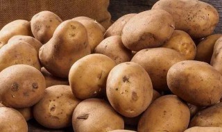 土豆营养价值及功效（土豆营养价值及功效与作用禁忌）