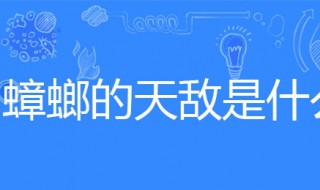 蟑螂的天敌（蟑螂的天敌是什么动物可以养在家）