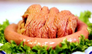 马肉的营养价值及功效（马肉的营养价值及功效禁忌表）