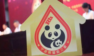 熊猫血有什么好处 熊猫血有什么好处与坏处