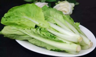 小白菜的营养价值及功效（小白菜的营养价值及功效有什么）