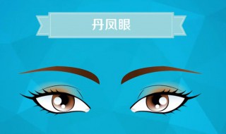 什么是丹凤眼（什么是丹凤眼图片 女人）