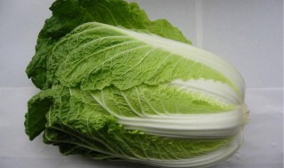 白菜的营养价值及功效 白菜的营养价值及功效禁忌