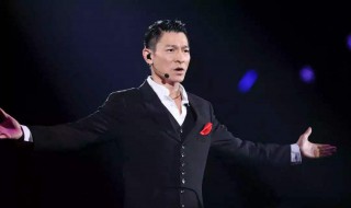 刘德华谈好演员标准 刘德华谈内地演员