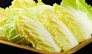 白菜苗几天浇一次水（白菜苗几天浇一次水好）