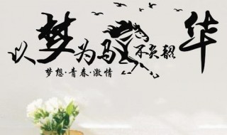 以梦为马不负韶华什么意思（愿你青春以梦为马不负韶华什么意思）