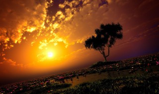 浪漫夕阳原唱 浪漫夕阳原唱简谱