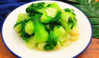 炒青菜能放白胡椒粉