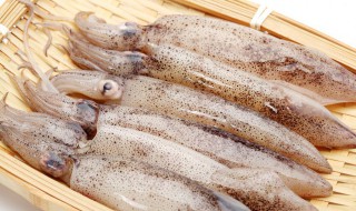 鱿鱼和章鱼有什么区别 鱿鱼跟章鱼的区别