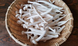 冰箱里海鲜菇长白毛可以吃吗 海鲜菇放在冰箱里长白毛能吃吗