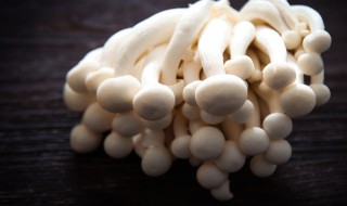 白玉菇和海鲜菇有什么区别（白玉菇和海鲜菇有什么不同）