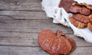 采来的野生灵芝怎么处理 刚采摘的野生灵芝怎么处理