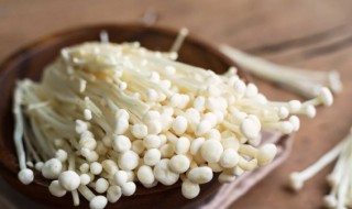 白玉菇长什么样（白玉菇长什么样子）