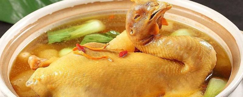 如何炖鸡（如何炖鸡腿好吃又简单）