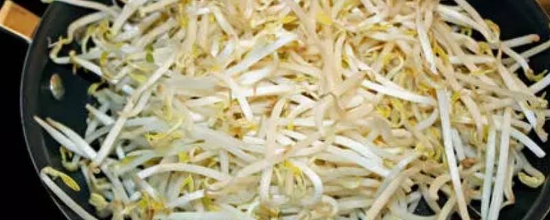 豆芽怎么吃（豆芽怎么吃减肥）
