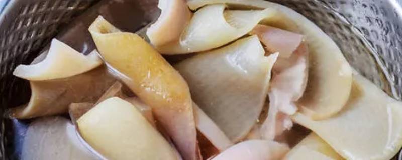 肉皮怎么泡发（油炸过的肉皮怎么泡发）