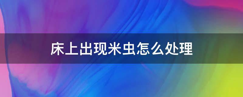床上出现米虫怎么处理（床上有米虫怎么回事）