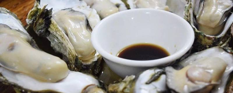 生蚝怎么开壳清洗 生蚝怎么开壳清洗视频