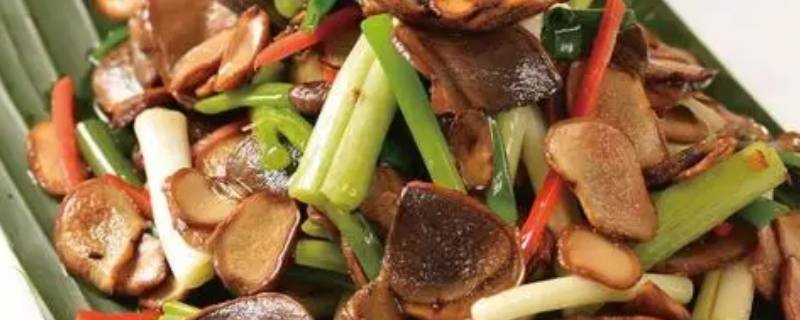 找野生菌野生菌怎么炒（新鲜野生菌怎样做来吃）