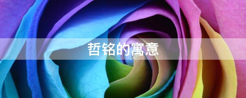 哲铭的寓意（哲铭的意思）