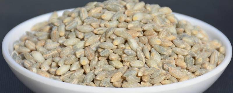 青稞米一般煮多久 青稞米一般煮多久熟