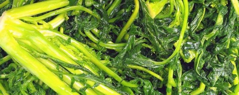 野辣菜的腌制方法 野辣菜的腌制方法视频教学