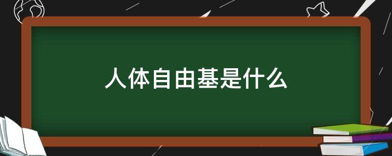人体自由基是什么（人体自由基是什么东西）