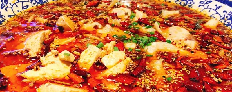 水煮鱼怎么切片（草鱼做水煮鱼怎么切片）