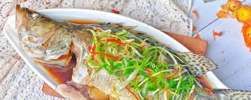 海桂鱼怎么做好吃 海桂鱼怎么做好吃视频