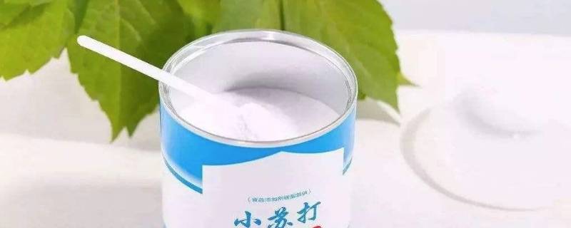 菠萝没有盐用什么代替 菠萝没有盐水用什么代替