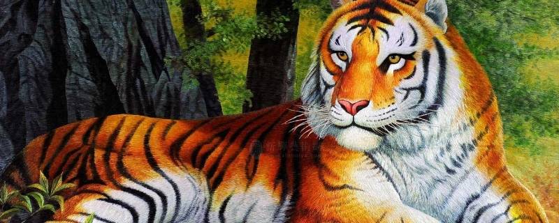 带虎字很霸气的代号（带虎字很霸气的代号有哪些）