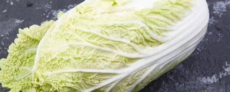 包白菜怎么做才好吃 包白菜怎么做才好吃?