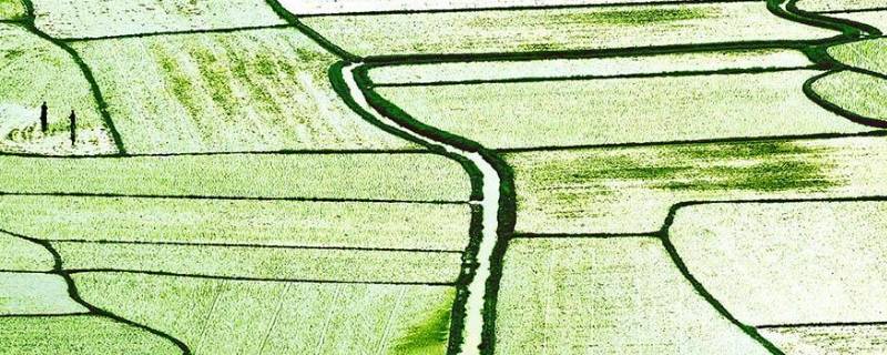 春耕行动宣传语 春耕行动宣传语怎么写