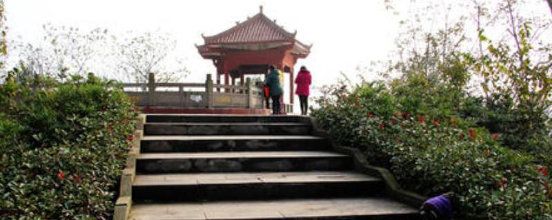 广安兔儿山公园在哪里（广安兔儿山公园在哪里呀）