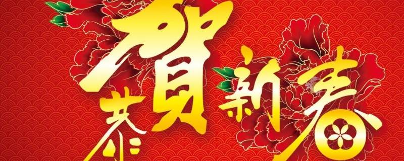 春节文化的收获和感悟（春节传统文化感悟收获）