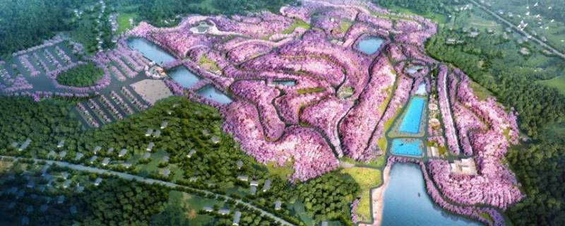 岳阳樱花园在哪里 岳阳樱花园在哪里怎么去坐几路公交车到