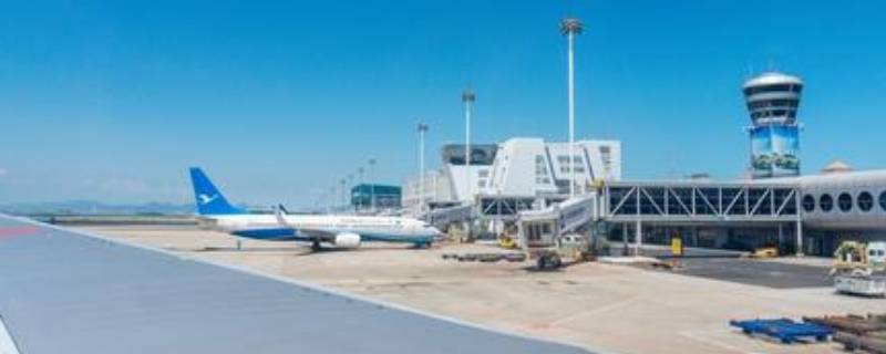 高崎t3和t4有什么区别 高崎t3和t4有什么区别