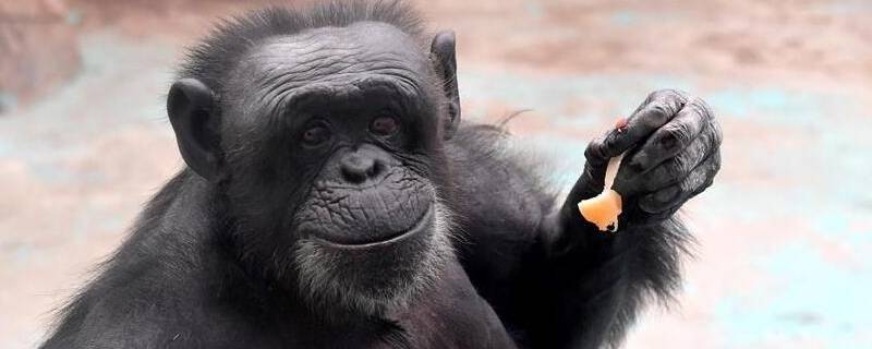 郑州动物园地铁哪一站 郑州动物园在哪个地铁站