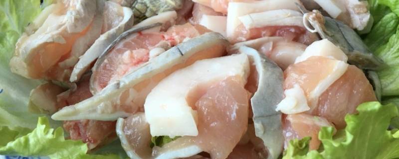 不怕打雷下大雨的动物 什么动物怕雷雨