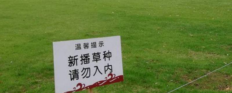 关于爱护草坪的宣传标语（关于爱护草坪的宣传标语有哪些）