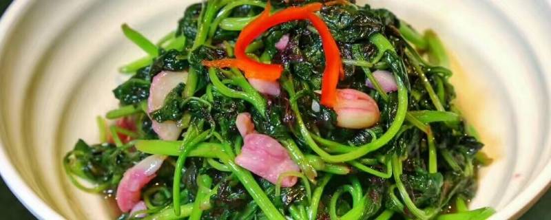 东湾菜学名叫什么（东江菜又叫什么菜）