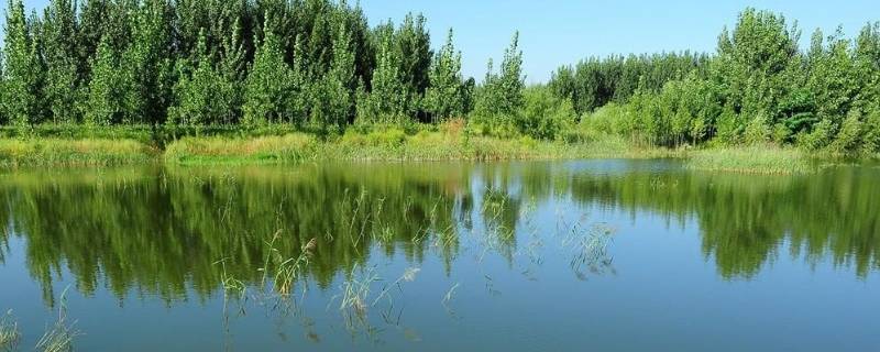 大沽河发源地 大沽河发源地及流经地