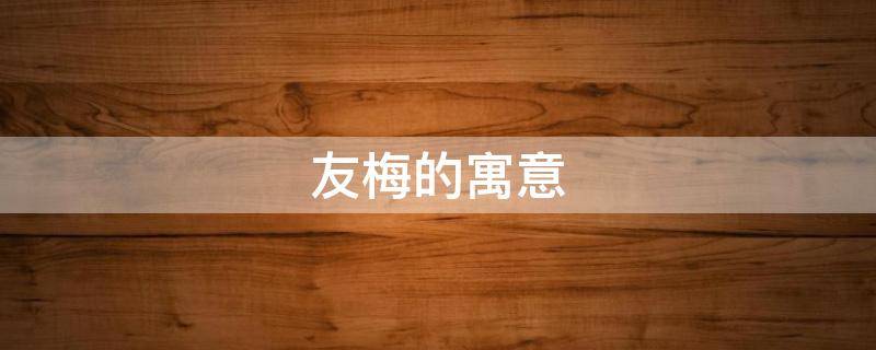 友梅的寓意 话梅的寓意