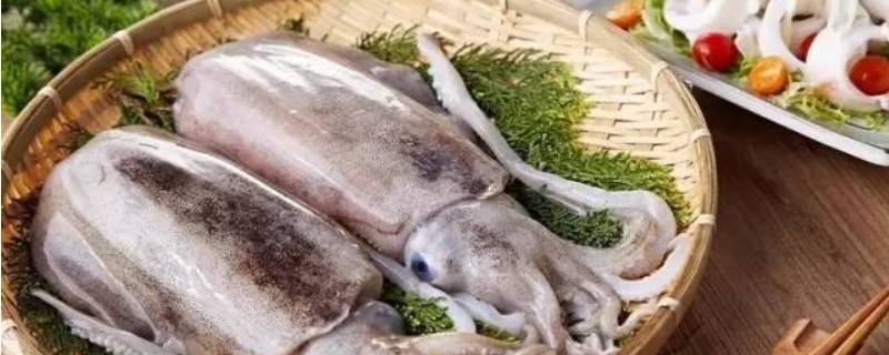 墨鱼功效 桃仁炖墨鱼功效